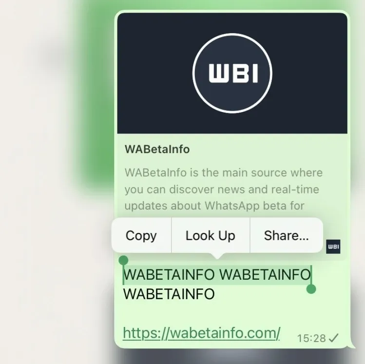 IPhone Users Can Now Easily Copy Large Portions of WhatsApp Messages