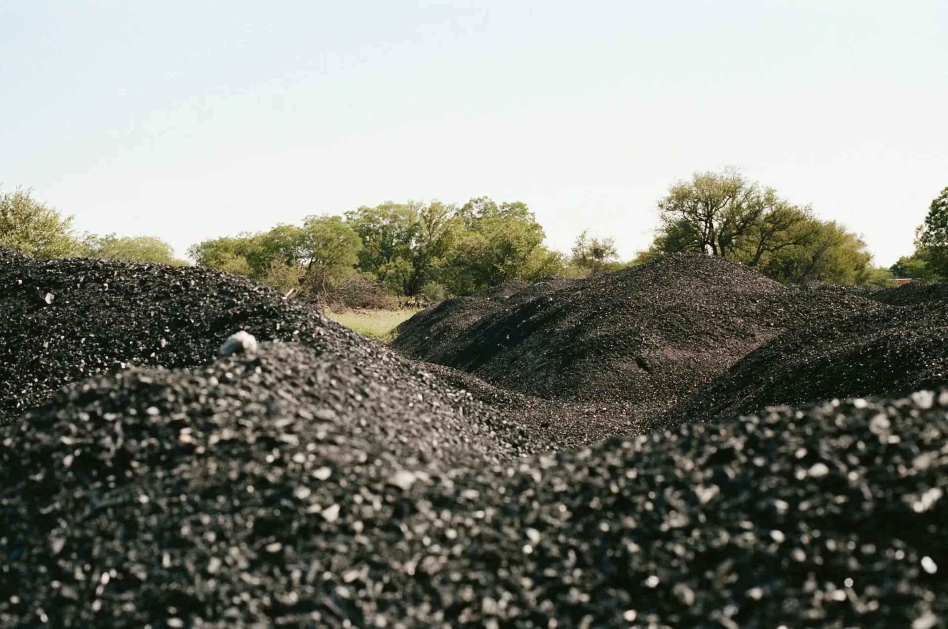 Terraton Secures $11.5M to Scale Biochar Production via Franchise Model