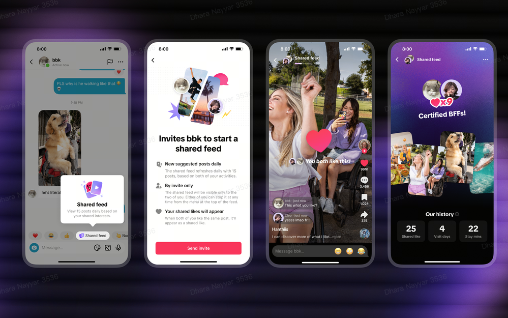 TikTok Lets You Build Shared Video Collections With Friends